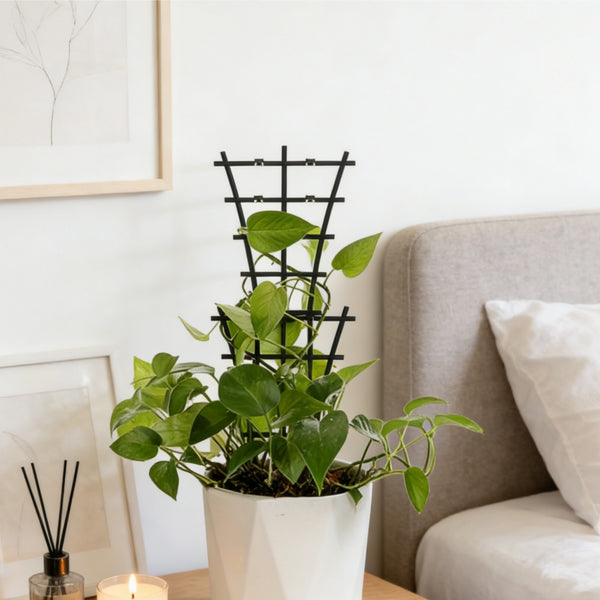 20pc Garden Plant Climbing Trellis Vegetables Flowers Support For Plant Ties Pot