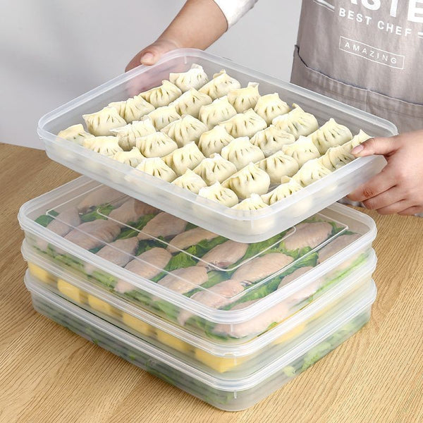 2 Pack Fridge Dumpling Storage Boxes with Lids – Sealed Rectangular Food Containers for Freezer and Refrigerator