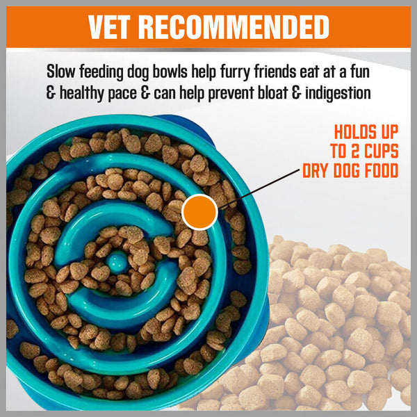 2PCS Cat Dog Slow Down Eating Feeder Dish Pet Large / Small Feeding Food Bowl Di