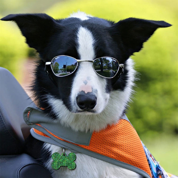 5x Dog Bone Cat Tag Pet Pendant Silicone Resin Molds +10pcs Keychain DIY Tool AU