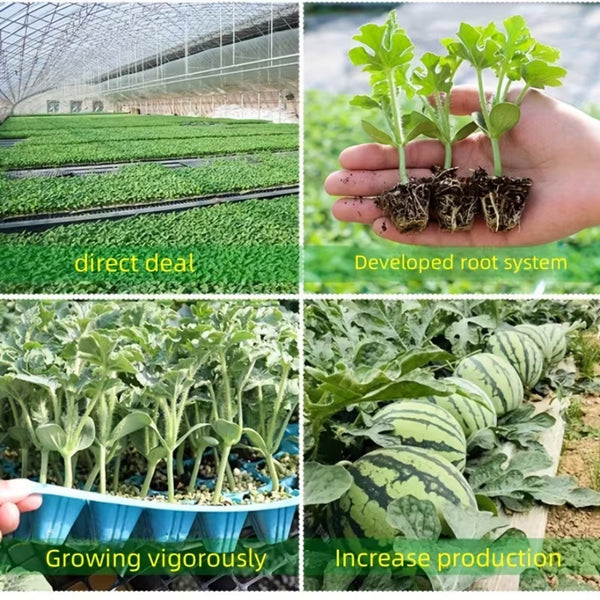 10PCS 72 Cell Seed Starter Trays Seedling Germination Nursery Propagation Trays