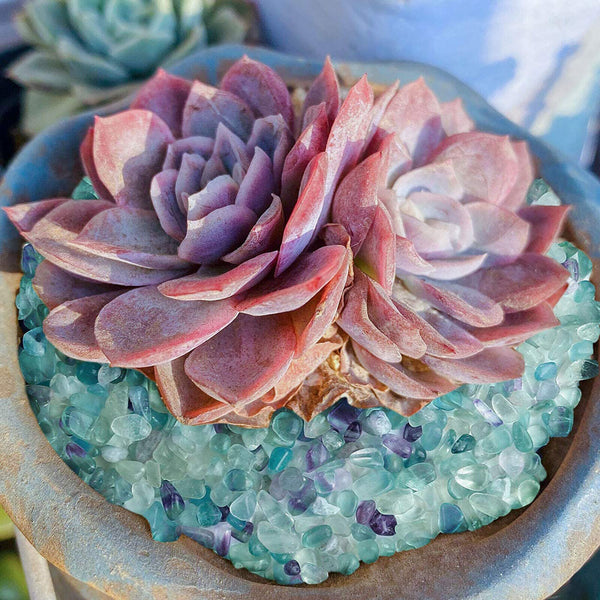 100G-1KG Fluorite Crystal Chip BULK Natural Gemstone Polished Mini Crystal Stone