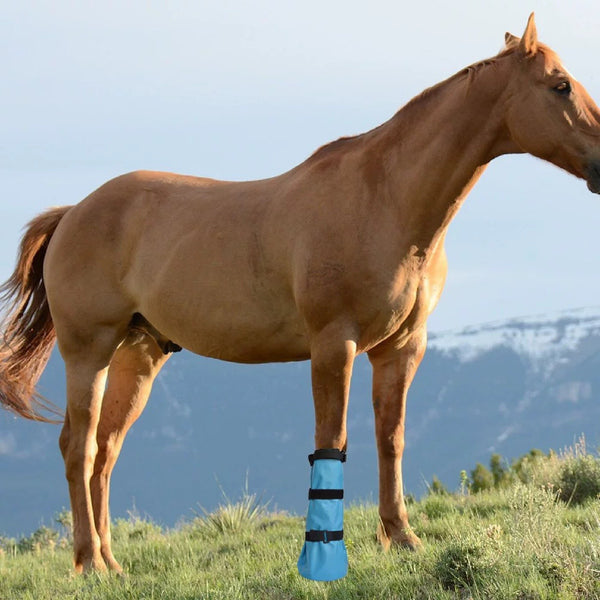 Horse Hoof Soaking Boot Waterproof Equine Leg Cover Adjustable Stable Gear