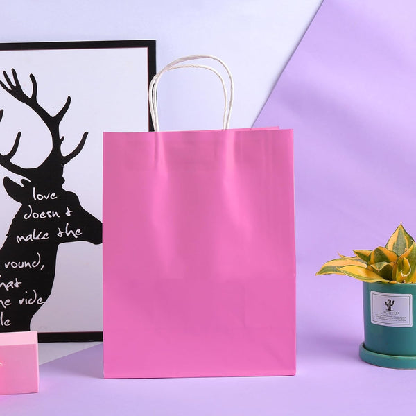 20 Pack Hot Pink Kraft Paper Gift Bags with Handles – Plain Shopping and Wedding Party Carry Bags