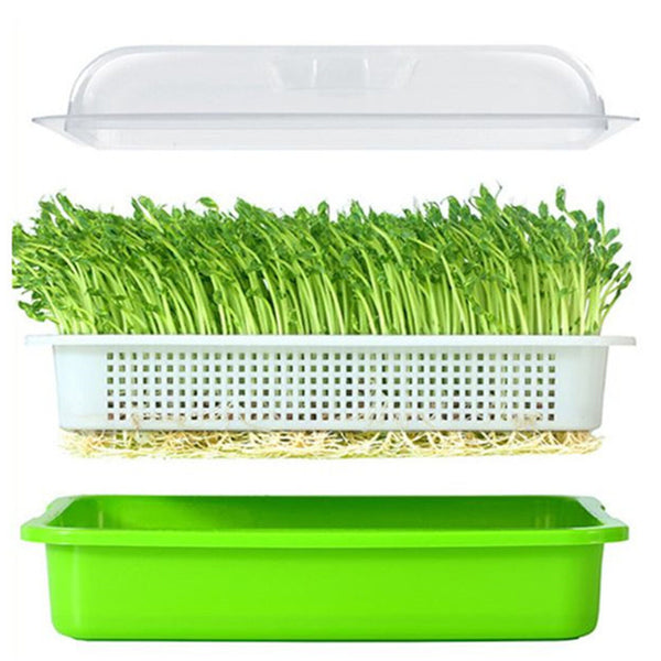1PC Seed Sprouter Tray with Lid BPA Free Bean Sprout Grower Sprouting Seeds Tray