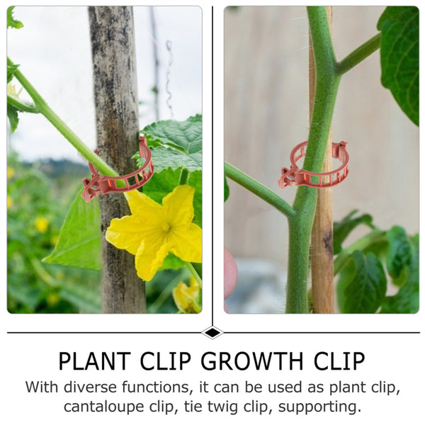 100pcs Tomato Plant Support Clips 3.2cm | Garden Trellis Clips for Vine Plants