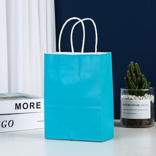 100PCS Sky Blue Kraft Paper Bags with Handles – Gift & Shopping Carry Bags