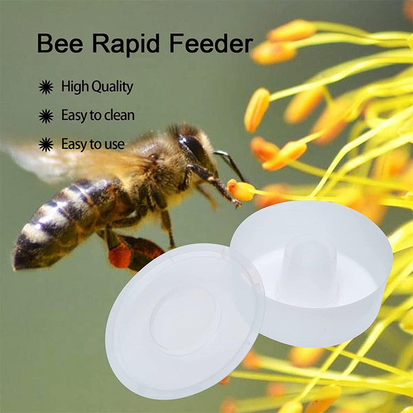 Bee Feeder Round Top Hive Bee Equipment Beekeeper Beekeeping Feeder Beehive Tool
