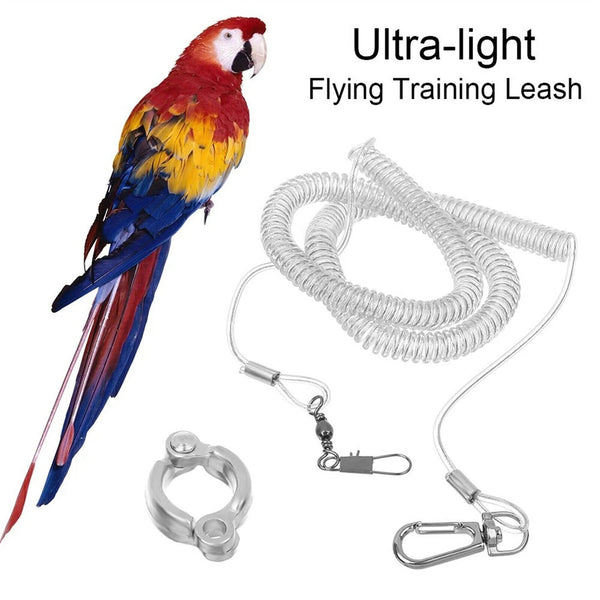3M Bird Leash And Leg Ring Ultra-light Parrot Bird Harness Training Rope