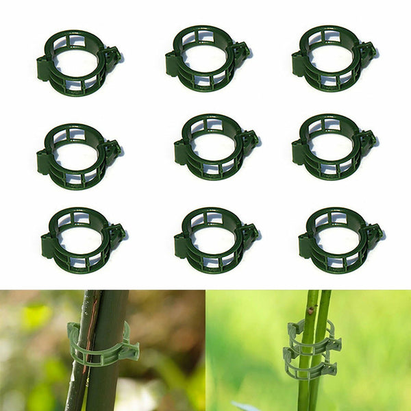 500PCS Green Veggie Garden Plant Support Clip Trellis Twine Greenhouse Vegetable