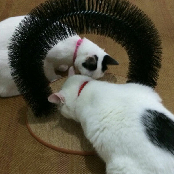 Scratching Self Groomer Catching Devices Quick Clean Fleece Base Toys Round Pets