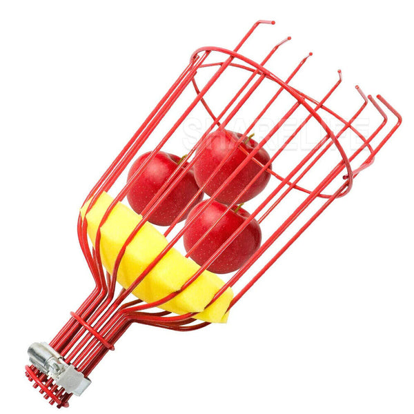 Fruit Picker Basket Extension Pole Tool for Picking Fresh Orange Peach Fruit AU