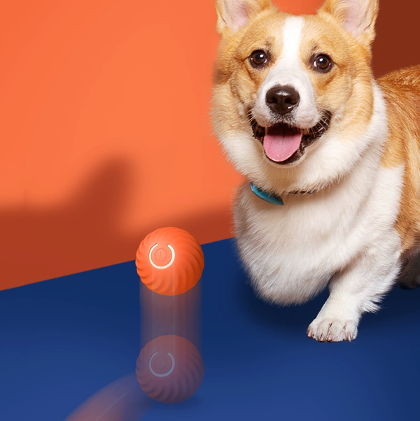 Electric Cat Dog Toy Automatic Rolling Ball Bouncing Smart Kitten Game