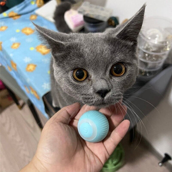 Automatic Rolling Ball Smart Electric Self-moving Pet Cat Dog Interactive Toy AU