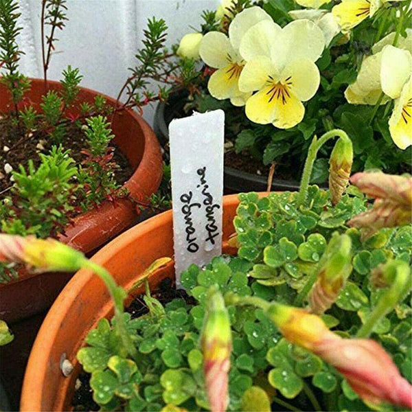 1000PCS Plant Marker Labels Flexible PVC Tag Seedlings Waterproof Garden Bulk