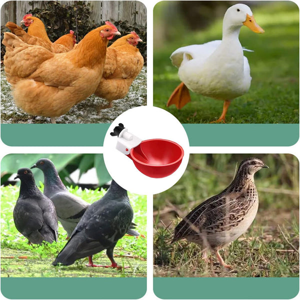 5PCS Automatic Chicken Water Cup Waterer Poultry Drinker Feeder Drinking Bowl