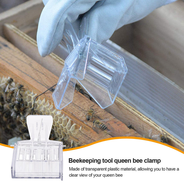 10pcs Queen Cage Clip Bee Catcher Beekeeper Beekeeping Tool Plastic Equipment AU