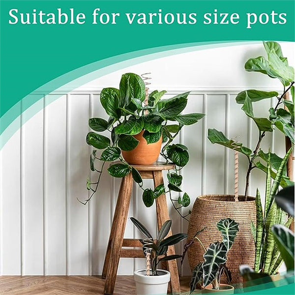 Electroculture Garden Copper Coils Plant Support Stake for Vegetables