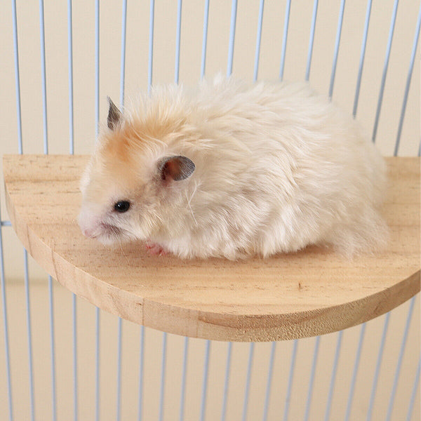Hamster Parrot Play Stand Jump Platform Squirrel Cage Accessories Gear Pet Toy