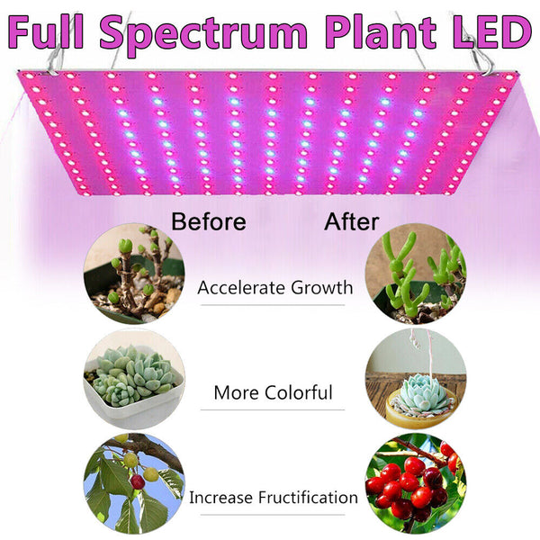 Plant AU plug Indoor UV Light Spectrum Plant Veg Lamp LED Grow Light Hydroponic