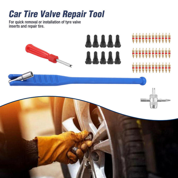 43pcs Car Tyre Valve Stem Puller Set Quick Remover Tire Repair Installation Tool