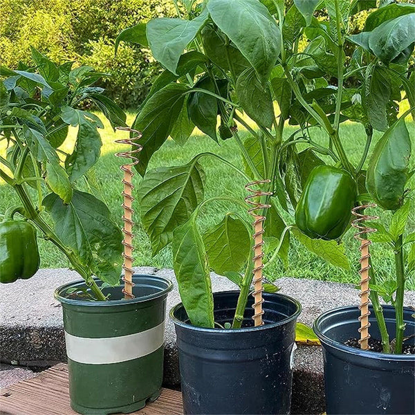 Electroculture Garden Copper Coils Plant Support Stake for Vegetables