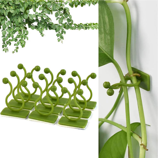 100Pcs Invisible Wall Rattan Clamp Clip Plant Climbing Wall Clip Wall Vines Fixt