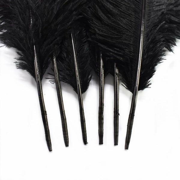 Ostrich Feathers (5pc) – 35–40cm Plumes for Wedding Centrepieces