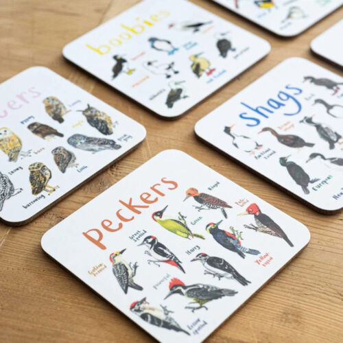 Set of 6 Bird Pun Coasters Funny Coasters for Drinks Kitchen Bar Decoration Gift