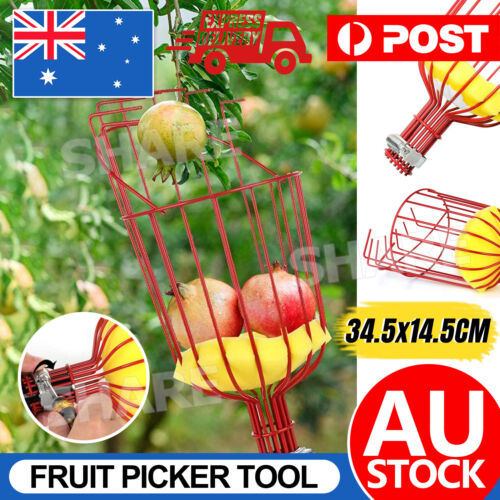 Red Horticultural Convenient Labor saving Fruit Picker Tool Apple Picking Garden