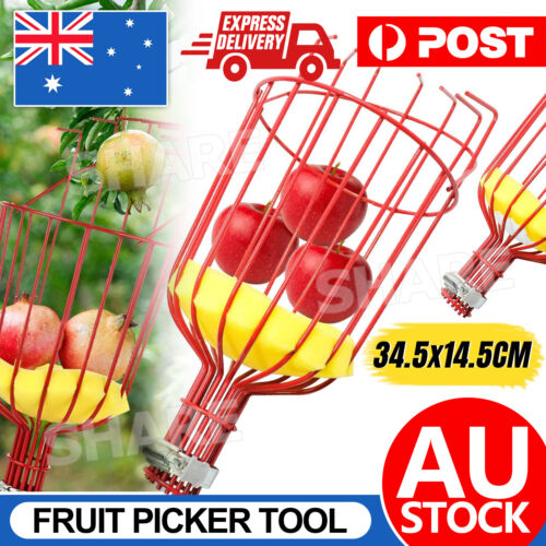 Fruit Picker Basket Extension Pole Tool for Picking Fresh Orange Peach Fruit AU