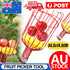 Fruit Picker Basket Extension Pole Tool for Picking Fresh Orange Peach Fruit AU