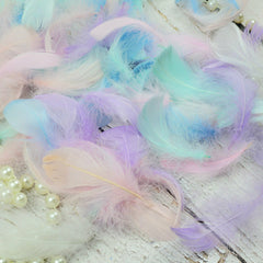 Mix Hen Pheasant Peacock Tail Eye Goose Feathers Wedding Millinery DIY Craft