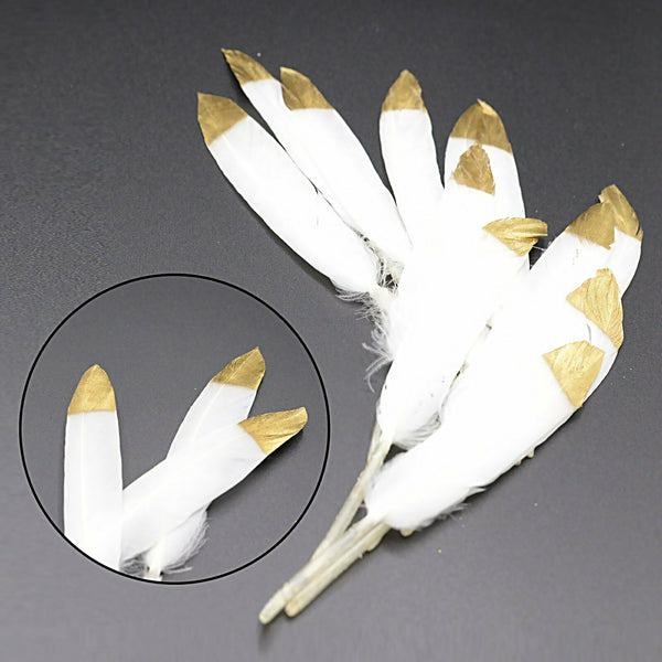 Mix Hen Pheasant Peacock Tail Eye Goose Feathers Wedding Millinery DIY Craft - Lets Party