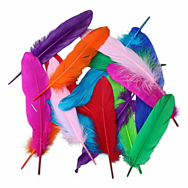 Mix Hen Pheasant Peacock Tail Eye Goose Feathers Wedding Millinery DIY Craft - Lets Party