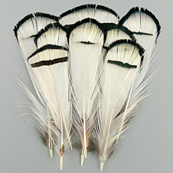 Mix Hen Pheasant Peacock Tail Eye Goose Feathers Wedding Millinery DIY Craft - Lets Party