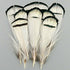 products/20pcs_7-14cm_pheasant_White.jpg