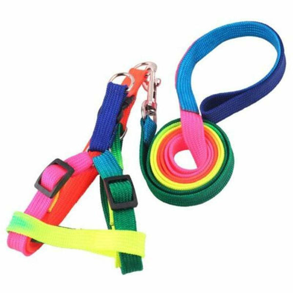 Pet Puppy Dog Obedience Training Treat Bag Feed Pouch Training Snack Waist Bag