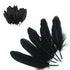 products/50pcs_15-20cm_Black.jpg