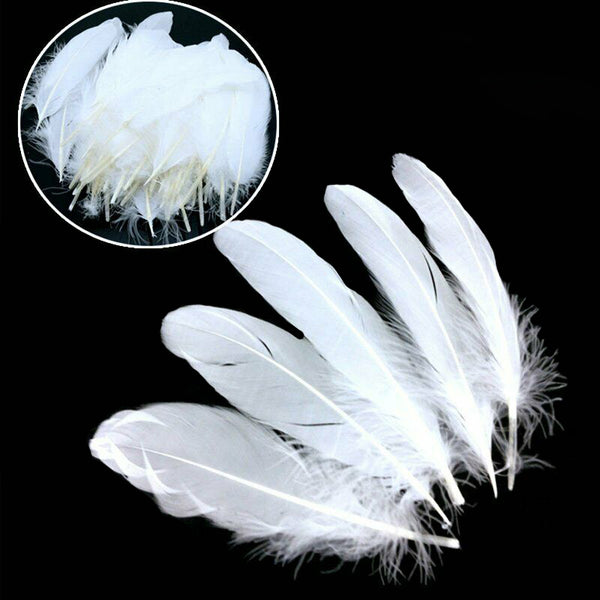 Mix Hen Pheasant Peacock Tail Eye Goose Feathers Wedding Millinery DIY Craft - Lets Party