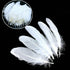 products/50pcs_15-20cm_White.jpg