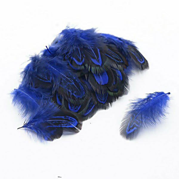 Mix Hen Pheasant Peacock Tail Eye Goose Feathers Wedding Millinery DIY Craft - Lets Party