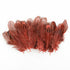 products/50pcs_5-8cm_Wine_red.jpg