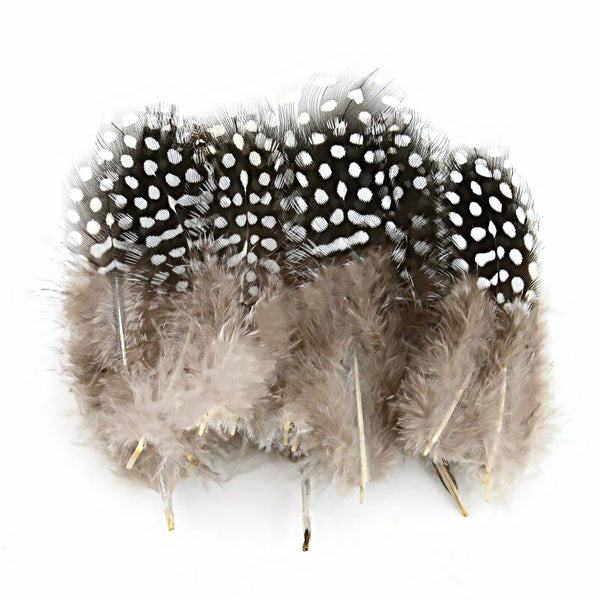 Mix Hen Pheasant Peacock Tail Eye Goose Feathers Wedding Millinery DIY Craft - Lets Party