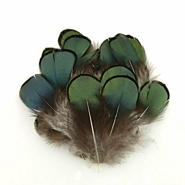 Mix Hen Pheasant Peacock Tail Eye Goose Feathers Wedding Millinery DIY Craft - Lets Party