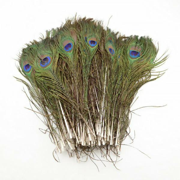 Mix Hen Pheasant Peacock Tail Eye Goose Feathers Wedding Millinery DIY Craft - Lets Party