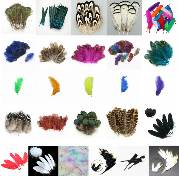 Mix Hen Pheasant Peacock Tail Eye Goose Feathers Wedding Millinery DIY Craft - Lets Party