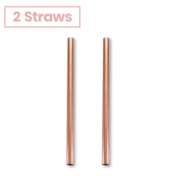 Thick Shake Milkshake Stainless Steel Straws Reusable Metal Drinking Straw Brush - Lets Party