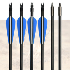 10 x 31" Fiberglass Arrows Archery Hunting Target Compound Bow Fiber Glass Bows