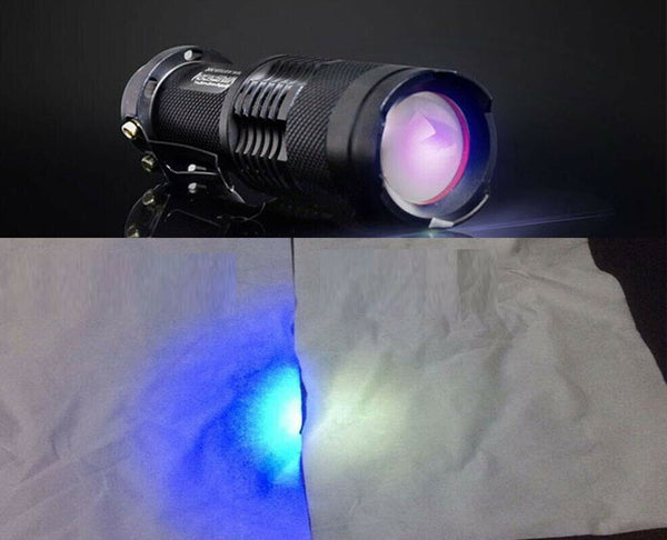 UV light torch head showing the LED array behind the lens